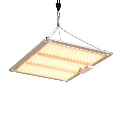 Đèn trồng cây 600w HPS 4x4 Kích thích ra hoa và đậu quả