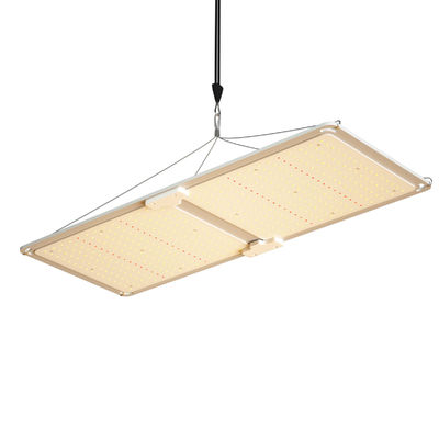 200W Full Spectrum Dimmable LED Grow Light Hệ thống chiếu sáng nhà kính T5 cho sự phát triển thực vật