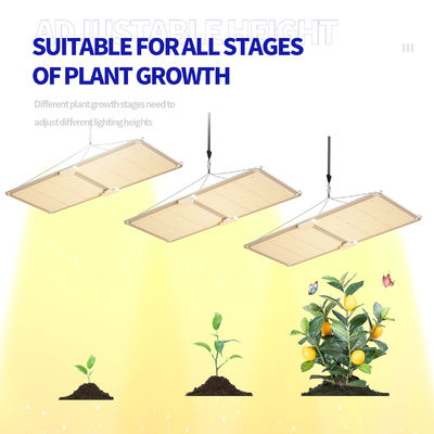 200W Full Spectrum Dimmable LED Grow Light Hệ thống chiếu sáng nhà kính T5 cho sự phát triển thực vật