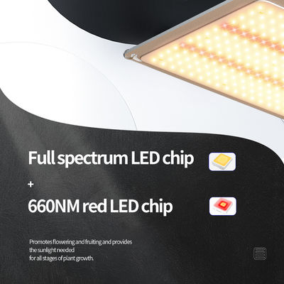 Đèn LED T5 200w cho hệ thống chiếu sáng nhà kính