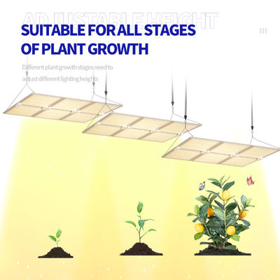 600W Full Spectrum LED Grow Light với chức năng giảm độ sáng để tăng trưởng thực vật tối ưu