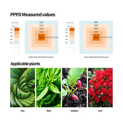 600W Full Spectrum LED Grow Light với chức năng giảm độ sáng để tăng trưởng thực vật tối ưu