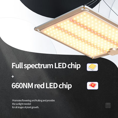 Đèn LED Panel 3x3 Đèn Trồng Cây Đèn Chiếu Sáng 600w