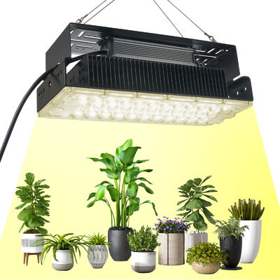 Đèn LED trồng cây quang phổ đầy đủ 100W với đèn LED SMD3030 cho cây trồng và vườn trong nhà