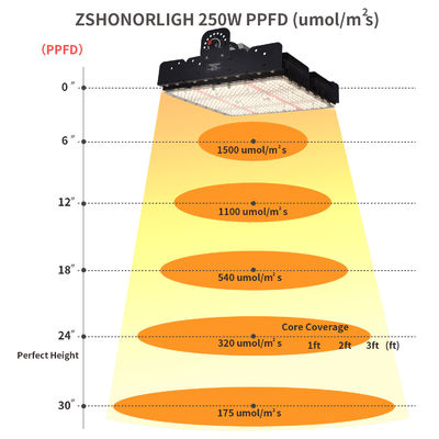Đèn LED trồng cây T5 250W Full Spectrum với Quản lý nhiệt thụ động cho cây trồng trong nhà