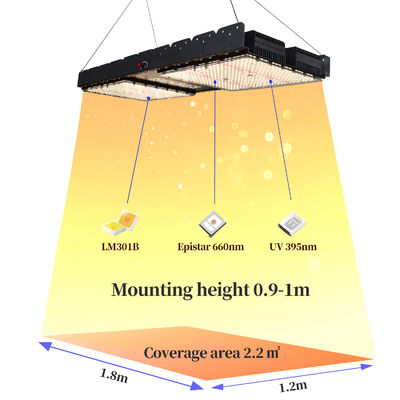 500W Full Spectrum LED Grow Light với E27 Base cho thực vật trong nhà và sử dụng thương mại