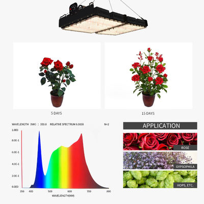 PPFD Đọc đèn LED Grow Light cho thực vật trong nhà NR Specturm
