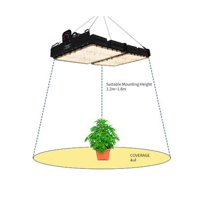 PPFD Đọc đèn LED Grow Light cho thực vật trong nhà NR Specturm