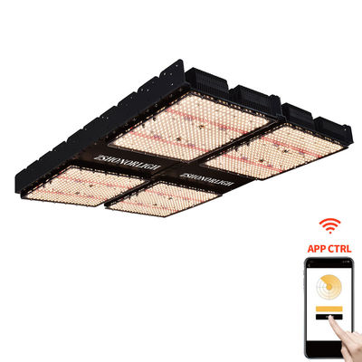 Đèn cây trong nhà 1000W 4x4 Grow Light