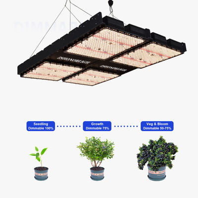 Đèn LED trồng cây toàn phổ 1000W có thể điều chỉnh độ sáng cho cây trồng trong nhà với bộ hẹn giờ