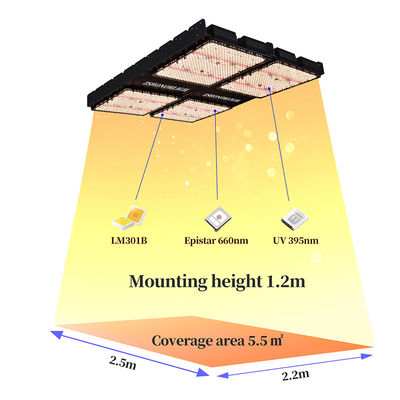 Đèn LED trồng cây toàn phổ 1000W có thể điều chỉnh độ sáng cho cây trồng trong nhà với bộ hẹn giờ
