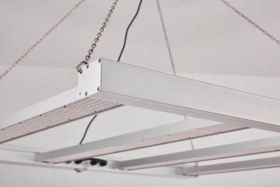 Đèn LED trồng cây phổ đầy đủ 600W có thể gập lại cho việc trồng cây thương mại