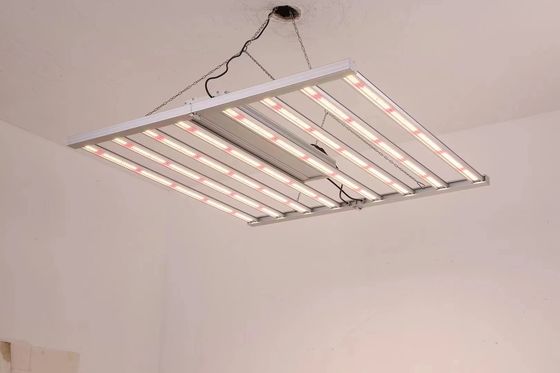 Đèn LED trồng cây quang phổ đầy đủ 800W với khả năng chống nước IP65 cho sự phát triển của cây trồng thương mại