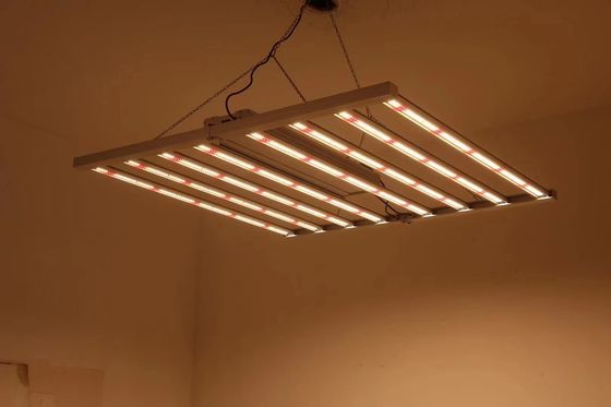Đèn LED trồng cây quang phổ đầy đủ 800W với khả năng chống nước IP65 cho sự phát triển của cây trồng thương mại