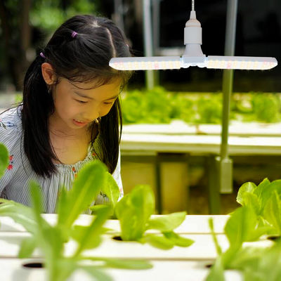 Đèn LED trồng cây nhỏ gọn với quang phổ đầy đủ + 660nm và chống nước IP68 cho sự phát triển của cây trồng trong nhà