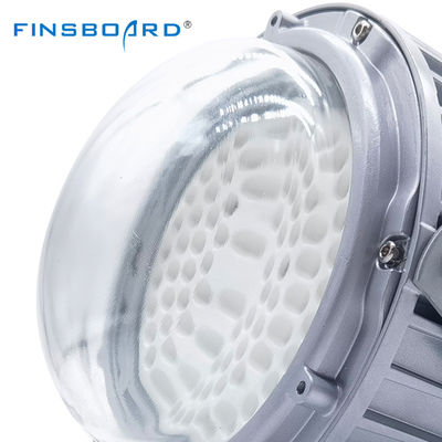 Đèn pha nhà xưởng chất lượng cao IP65 Chống thấm nước Trạm xăng 50w 100w 150w Đèn LED chống cháy nổ