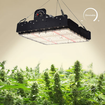 Đèn trồng cây LED T5 toàn phổ cho cây trồng trong nhà 250w