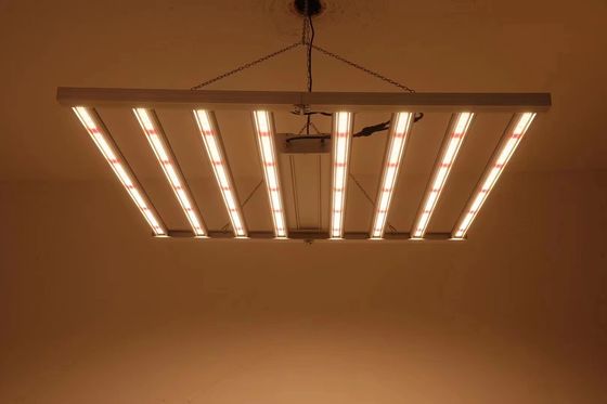 Đèn trồng nhà kính 8T có thể gập lại 800W 1000w Hps